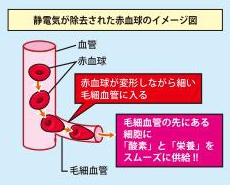 静電気について