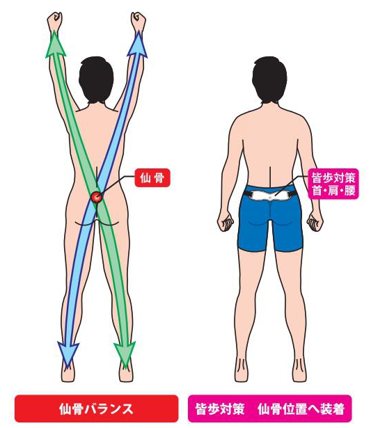 仙骨バランス